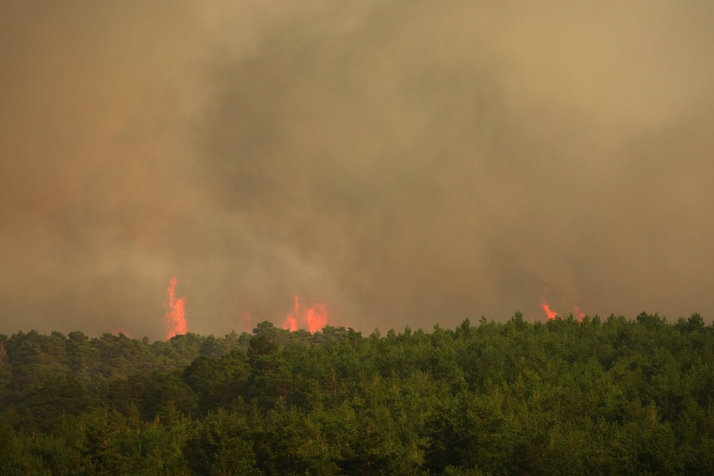 Wildfire advances near Condemios de Arriba, Guadalajara province, Spain, Wednesday, July 22, 2026, after a wildfire scorched tens of thousands of hectares (AP)