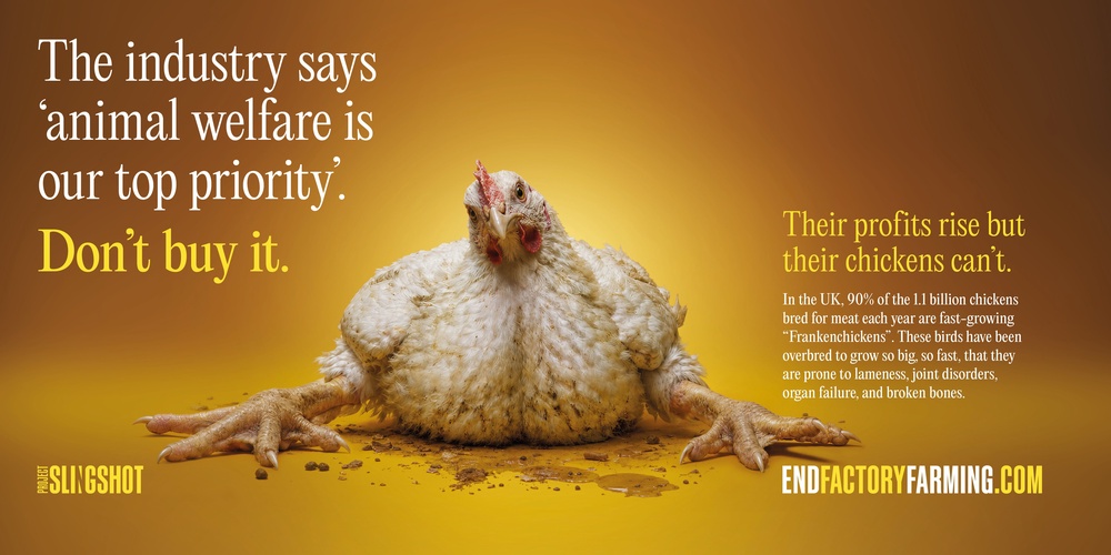 Tube passengers will have seen adverts depicting chickens that can't stand forced to sit in their own waste (Project Slingshot)
