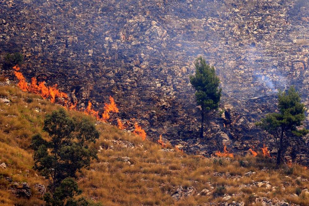 A wildfire in Sagana in the territory of Monreale, Sicily (AFP/Getty)