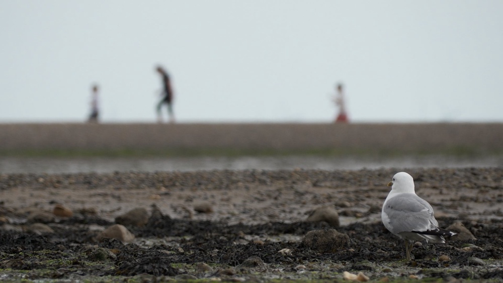 Several people had got into difficulty in the water (Jamie Lashmar/PA) (PA Wire)