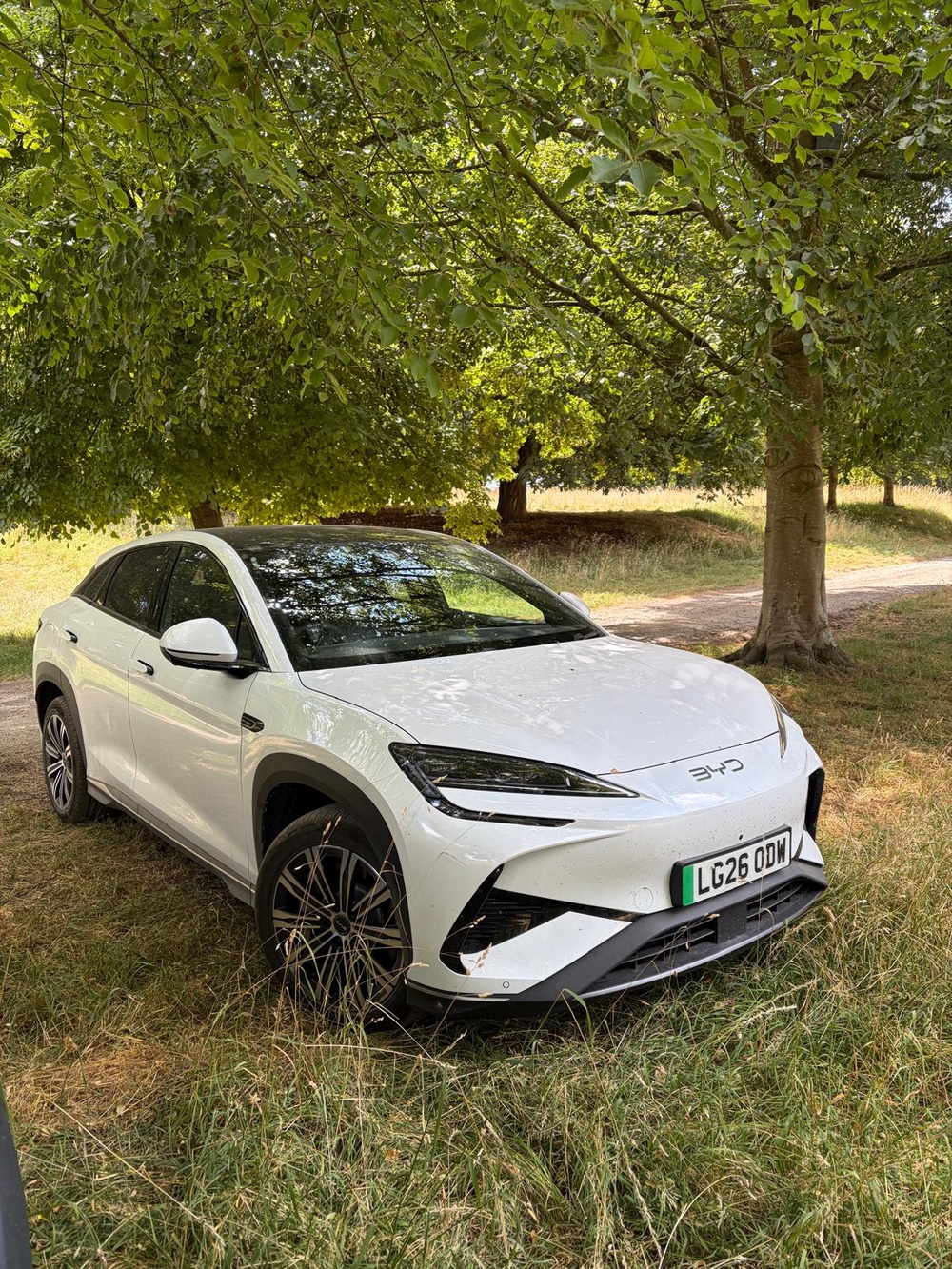 Our BYD has been in deep conversation with its driver (Geordie Greig/The Independent)