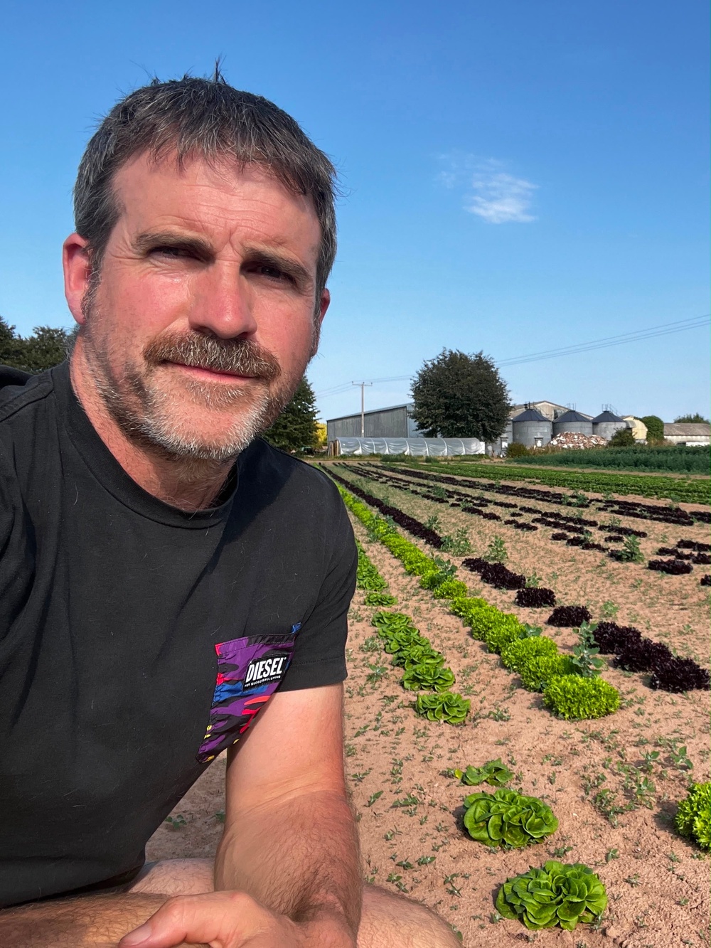 Ben Andrews runs Broadward Hall Farm in Herefordshire (Supplied)