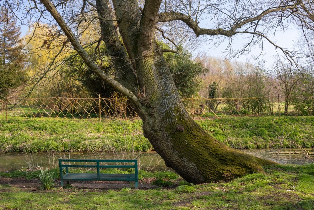 Halesworth is a market town in north-eastern Suffolk (Getty Images)
