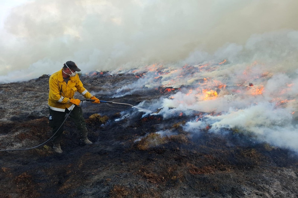 The Cairngorms wildfire burned for more than a week (PA Media)