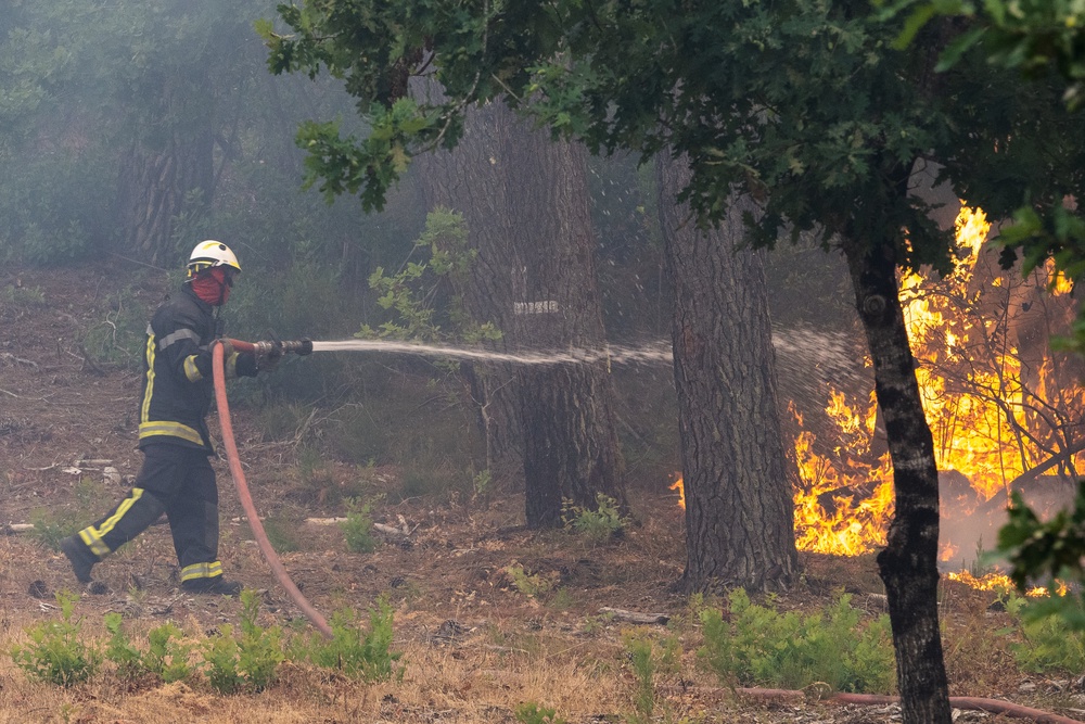 A firefighter sprays water in a burning forest in the Lège-Cap-Ferret region, western France (AP)