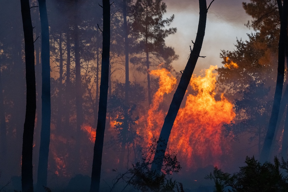 Wildfires advance near Le Proge region, western France (AP)