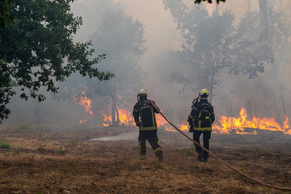 Image from: Europe wildfires latest: Fires just 15km from Bordeaux as officials consider ‘total evacuation of city if necessary’