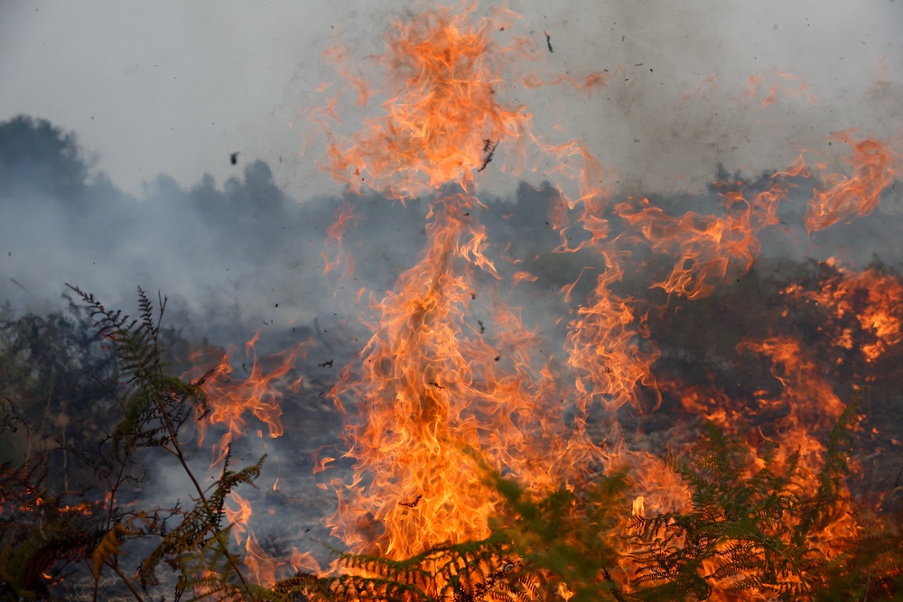 A view of a wildfire near Lacanau, amongst worsening drought conditions following a heatwave and water shortages across much of France, July 25, 2026. (Reuters)