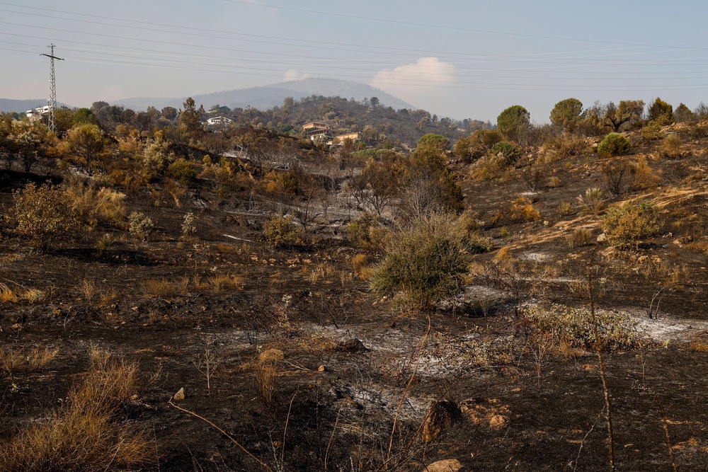 Houses stand in a burnt landscape after a wildfire on July 25, 2026 in El Tiemblo, in Ávila province, Spain. (Getty)