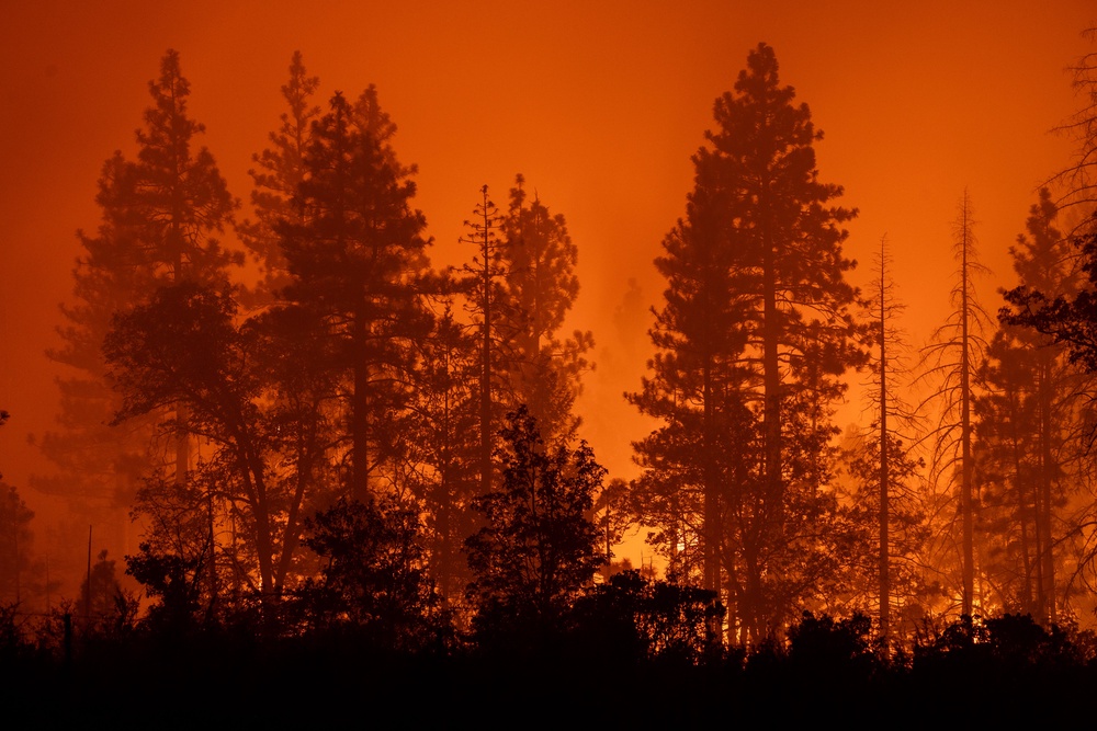 It took firefighters two months to fully contain the wildfire (Getty)