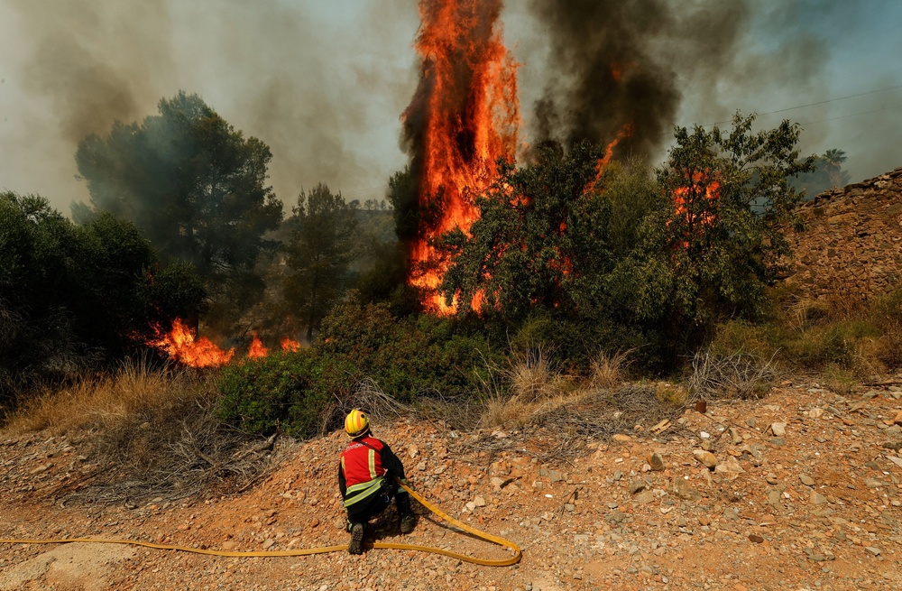 Wildfires across Spain have forced nearly 90,000 people to flee their homes (Reuters)