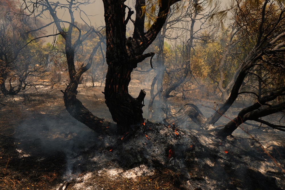 Spain Wildfires (Copyright 2026 The Associated Press. All rights reserved)
