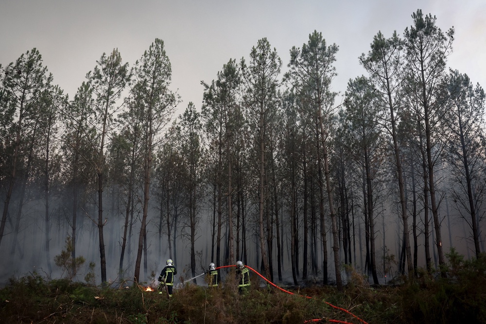 Firefighters battle a forest fire in Saint-Jean-d'Illac, (AFP/Getty)