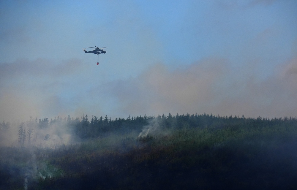 The National Fire Chiefs Council said most wildfires are preventable (Brian Lawless/PA) (PA Wire)