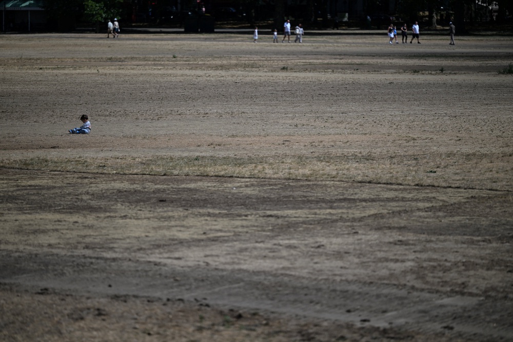 Grass at Hyde Park is scorched by the sun following consecutive heatwaves in London (Reuters)