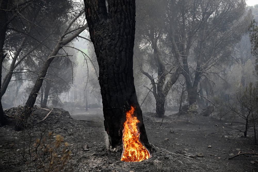 Ordnance has previously been found in the Castellon province, where wildfires are now blazing (AFP/Getty)