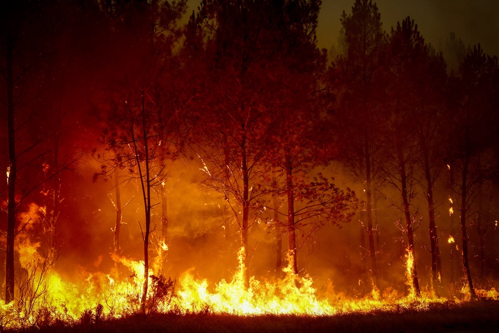 A forest fire rages in Saint-Jean-d'Illac, some 30km from Bordeaux (AFP/Getty)
