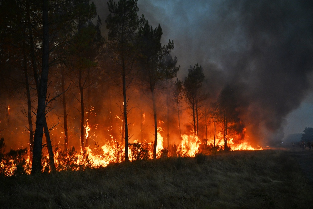 Trees burn as a wildfire rages near Bordeaux, France (Emma Da Silva/AP) (AP)