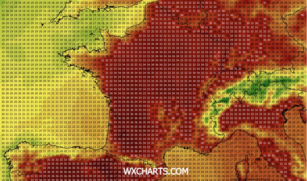 Scorching temperatures are forecast in France on Wednesday (WXCharts)