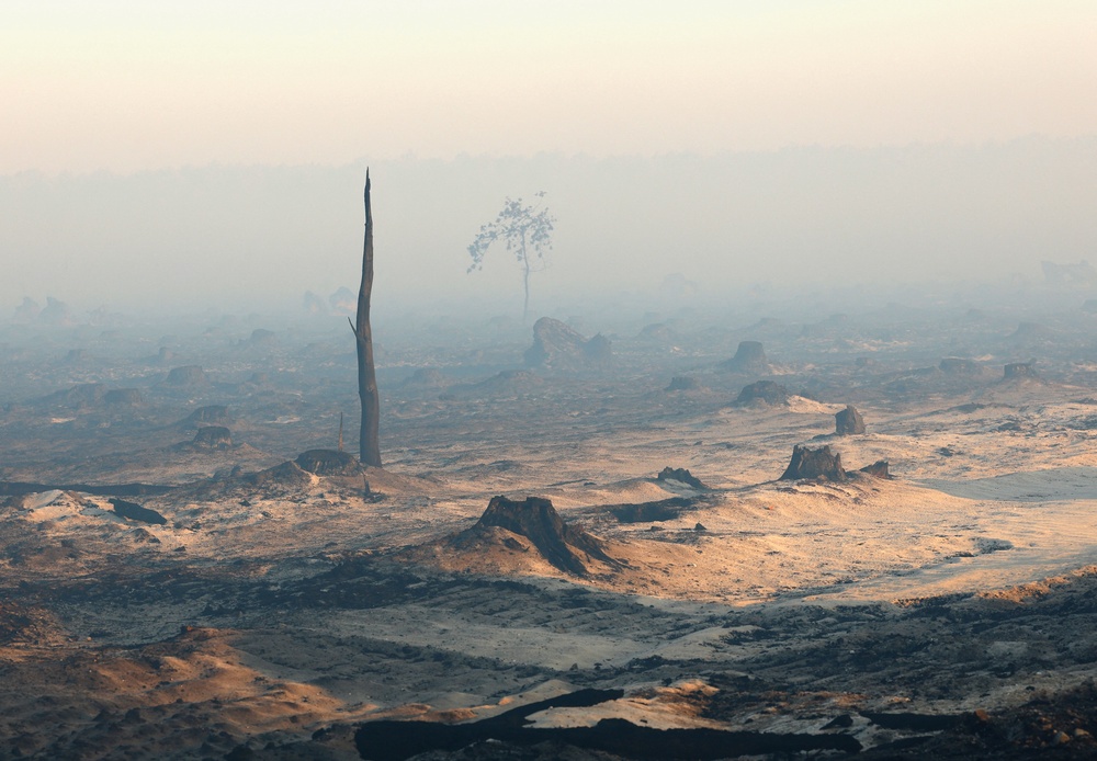 Smoke and fog in a burnt forest affected by a wildfire, near Saumos, Gironde, amid drought conditions following a heatwave and water shortages across much of France, July 28, 2026. (Reuters)