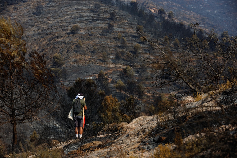 A man looks at damaged vegetation in an area affected by a wildfire in La Vall d'Uixo, Castellon province, Spain, July 28, 2026. (Reuters)