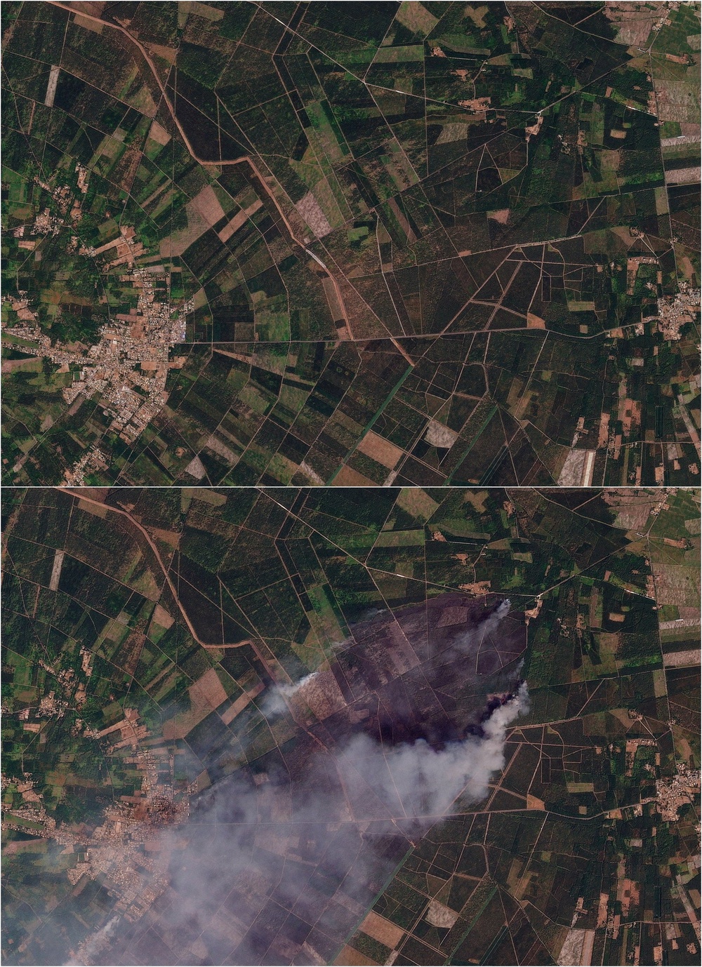 Satellite imagery of an area near Le Porge, in Nouvelle-Aquitaine, France, before it was affected by a wildfire (Reuters)