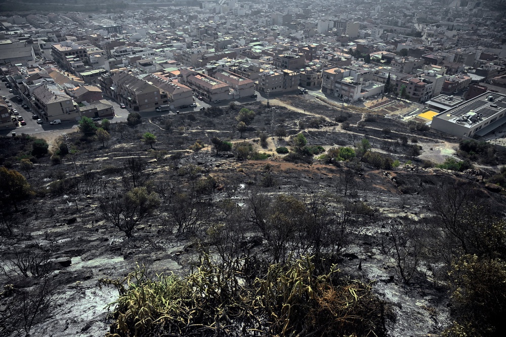 A scorched area after a wildfire raged in La Vall d’Uxio, 55km northeast of Valencia, on 28 July (AFP/Getty)