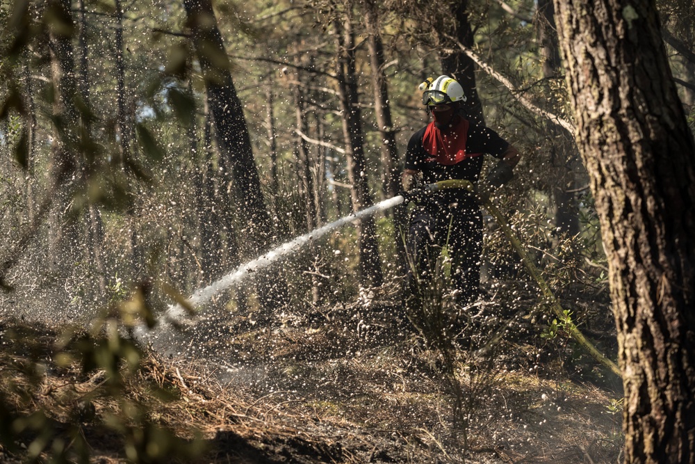 A firefighter works to extinguish flames in a forest in Claouey, near Lege-Cap-Ferret, southwestern France (AFP/Getty)