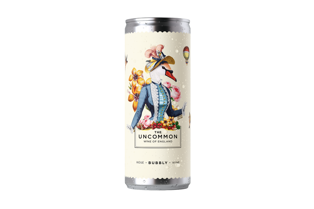 Image from: Best supermarket canned wine for picnics and festivals, chosen by an expert