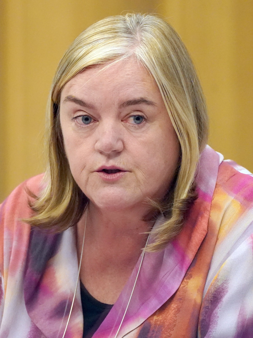 Baroness Louise Casey is leading a review into the adult social care sector in England (James Manning/PA) (PA Archive)