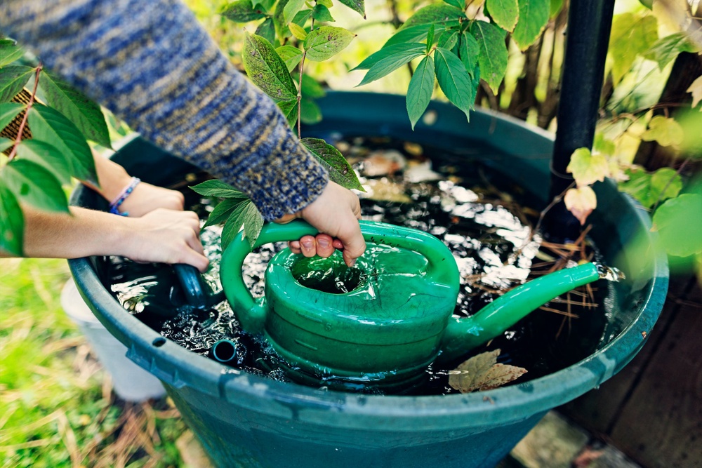 Mark Dwelly says that getting all your watering done early in the mornings or late in the evenings will be the most effective (Getty/iStock)