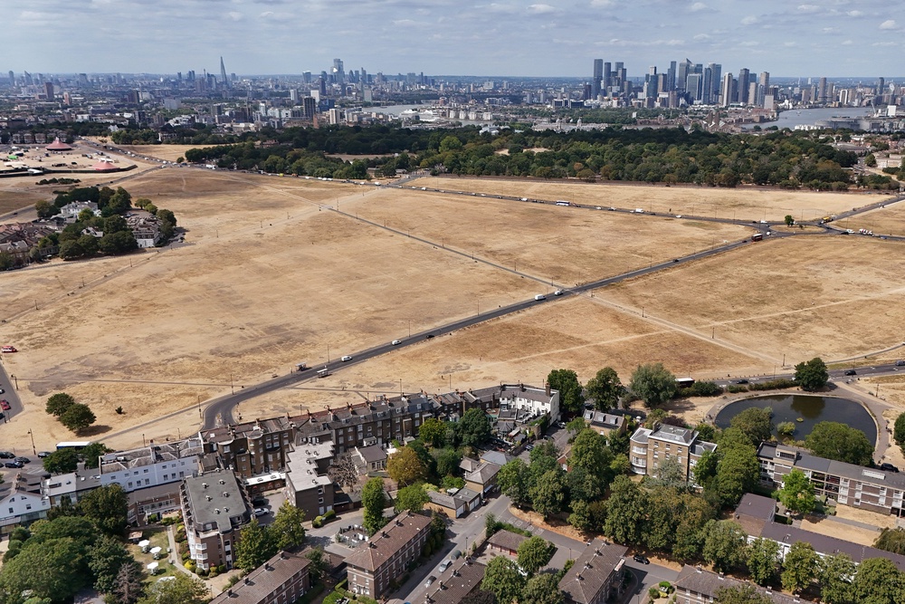The parched grass of Blackheath in London (Yui Mok/PA) (PA Wire)