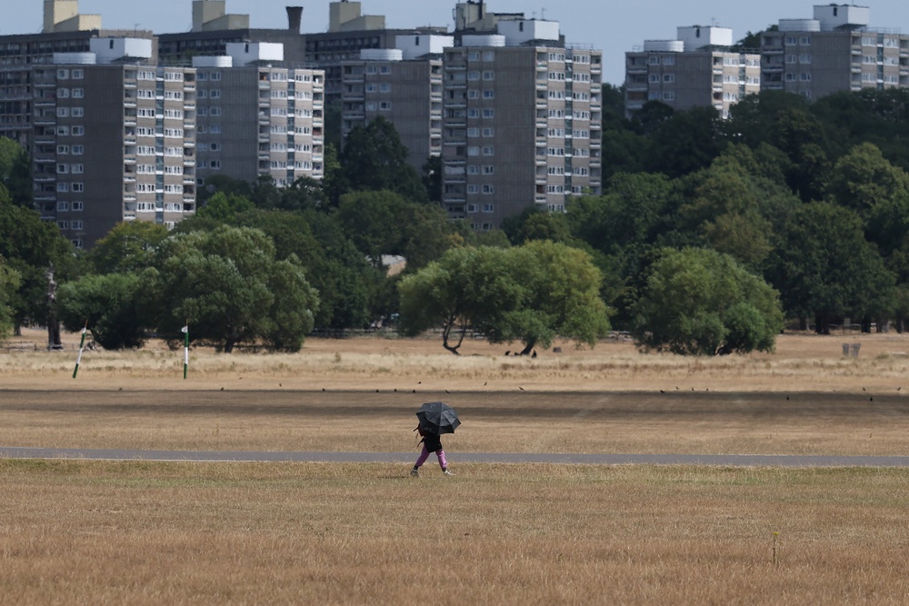 A person uses an umbrella to shield from the sun whilst walking through parched grassland in Richmond Park (Reuters)