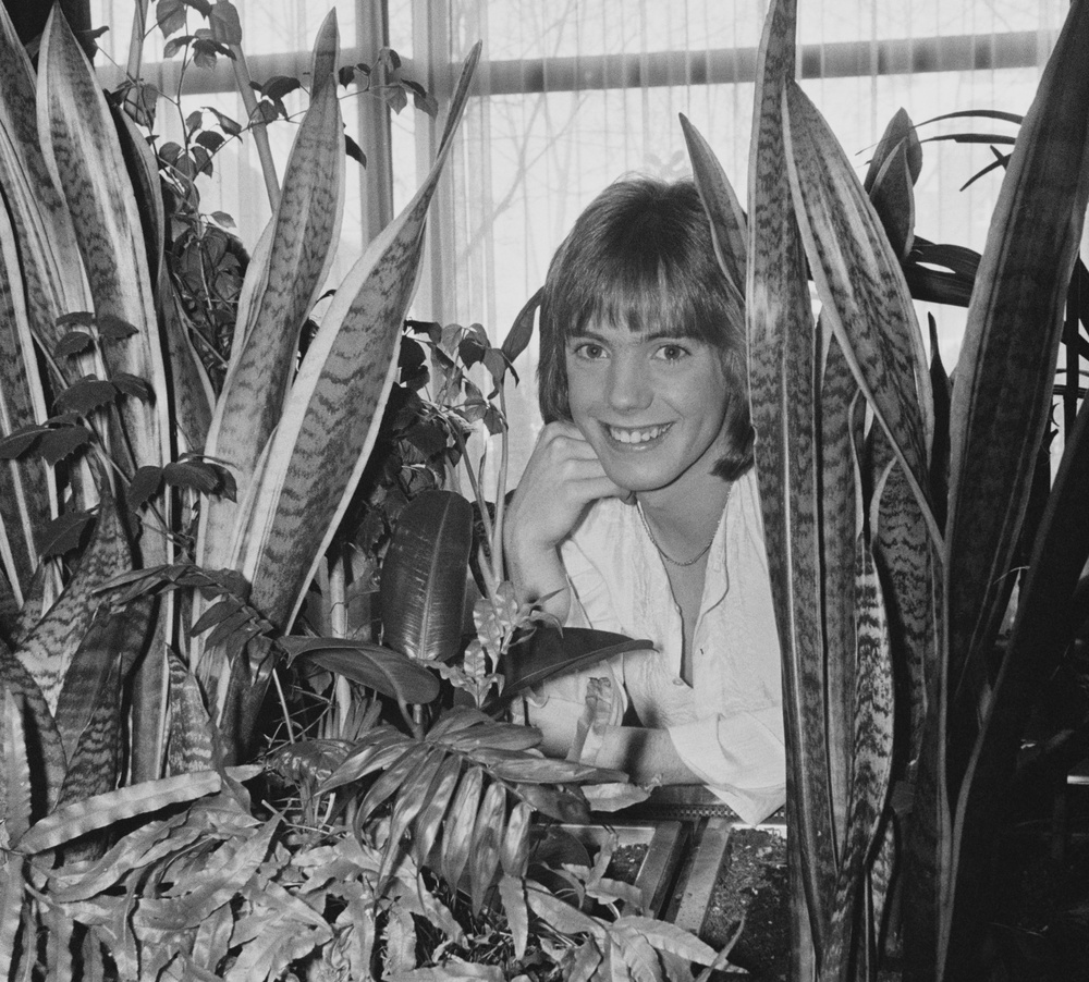 Shaun Cassidy rose to fame in the 1970s as a teen idol (Getty)