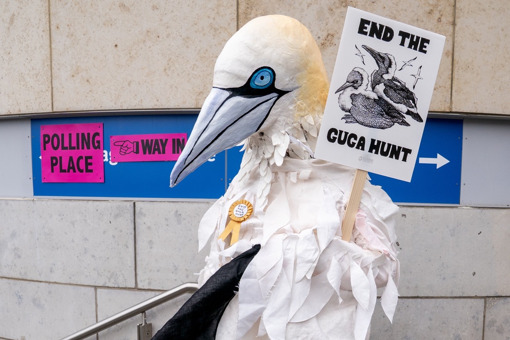 Wildlife campaigner Robert Pownall dressed as a gannet outside the Waverley Court polling station in Edinburgh (Jane Barlow/PA) (PA Wire)