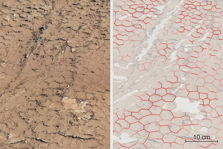 These previous shots from Curiosity also show hexagonal patterns that were formed as cracks in ancient mud (NASA/JPL-Caltech/MSSS/IRAP)