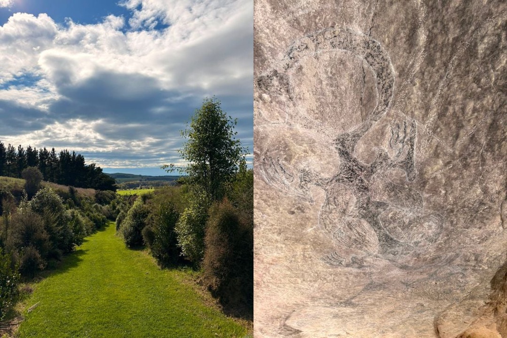 The rock art tour on the outskirts of Pleasant Point, near Timaru, was one of the high points of my trip (Harry Bullmore/The Independent)