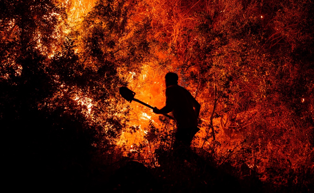 A villager helps in the battle against a wildfire in the Turkish province of Mugla (Reuters)