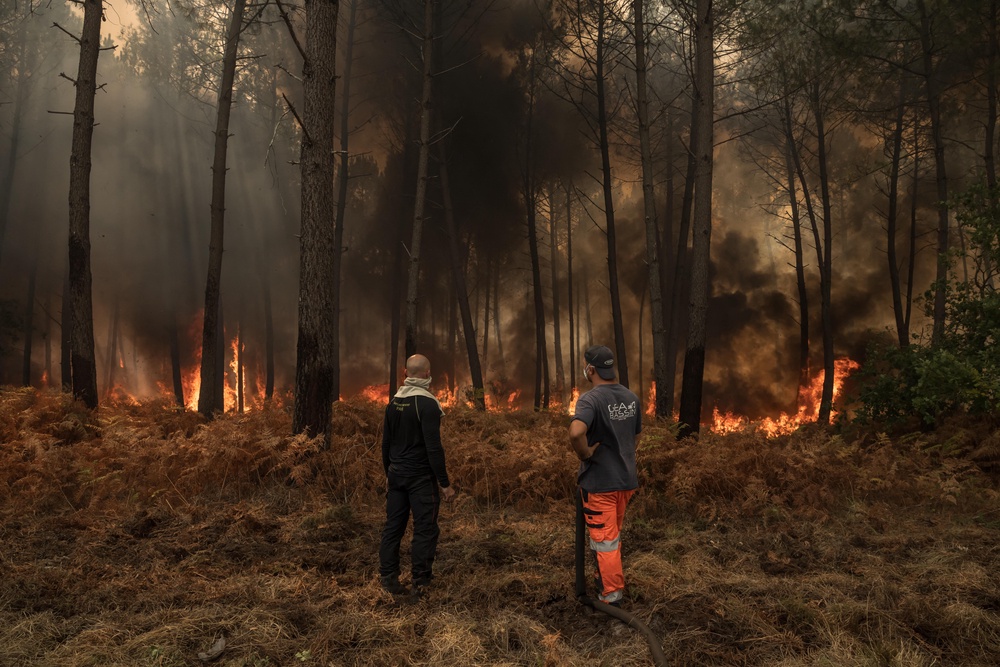 Volunteers help firefighters battle a forest blaze in the French commune of Lanton (AFP/Getty)