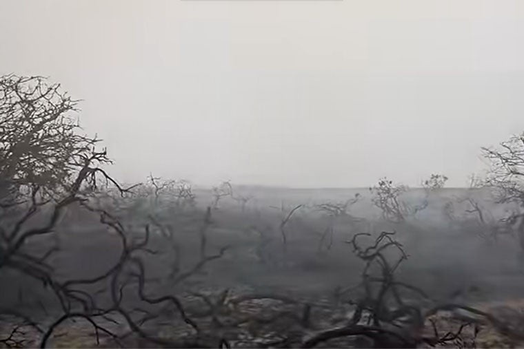 Fire crews shared the haunting images (Suffolk Fire and Rescue Service)
