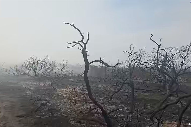 Firefighters are expected to be tackling the blaze for days (Suffolk Fire and Rescue Service)
