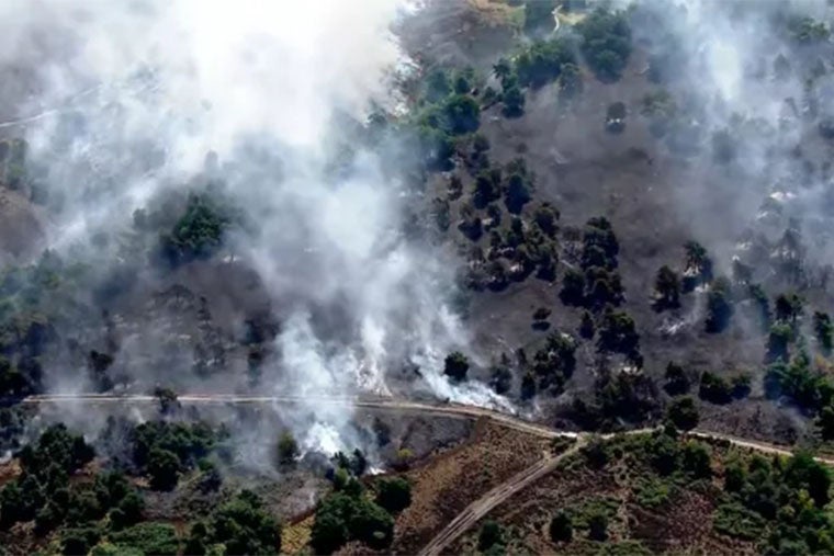 Firefighters are set to continue dealing with the blaze for the next 24 to 48 hours (Sky News)