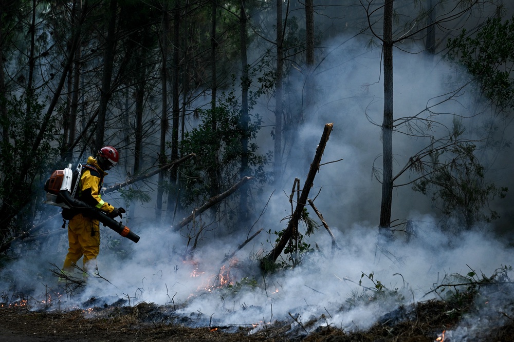 A firefighter uses a backpack blower to clear vegetation and create a firebreak during a controlled fire operation in a forest in Le Porge, north of the Arcachon Basin (AFP/Getty)