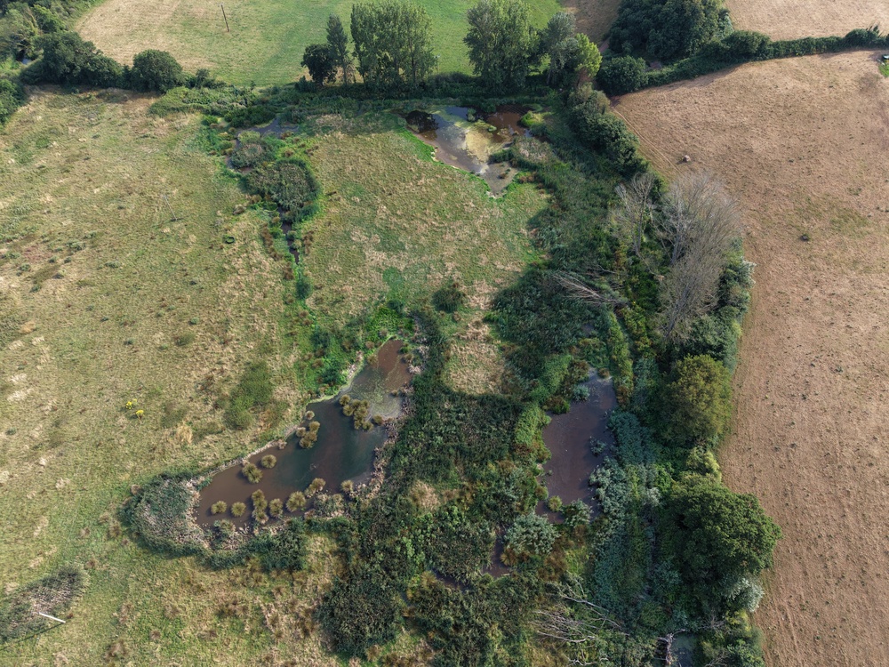 Beaver ponds in the landscape hold water, provide a refuge for wildlife and help with drought resilience (Alan Puttock/University of Exeter/PA)
