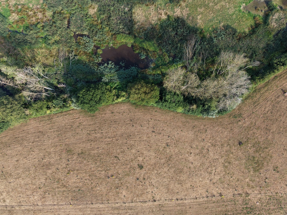 Beaver wetlands in Devon, where there has been little or no rain for weeks (Alan Puttock/University of Exeter/PA)