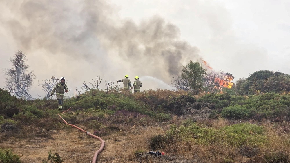 Firefighters are expecting to be tackling the blaze for days (Reuters)