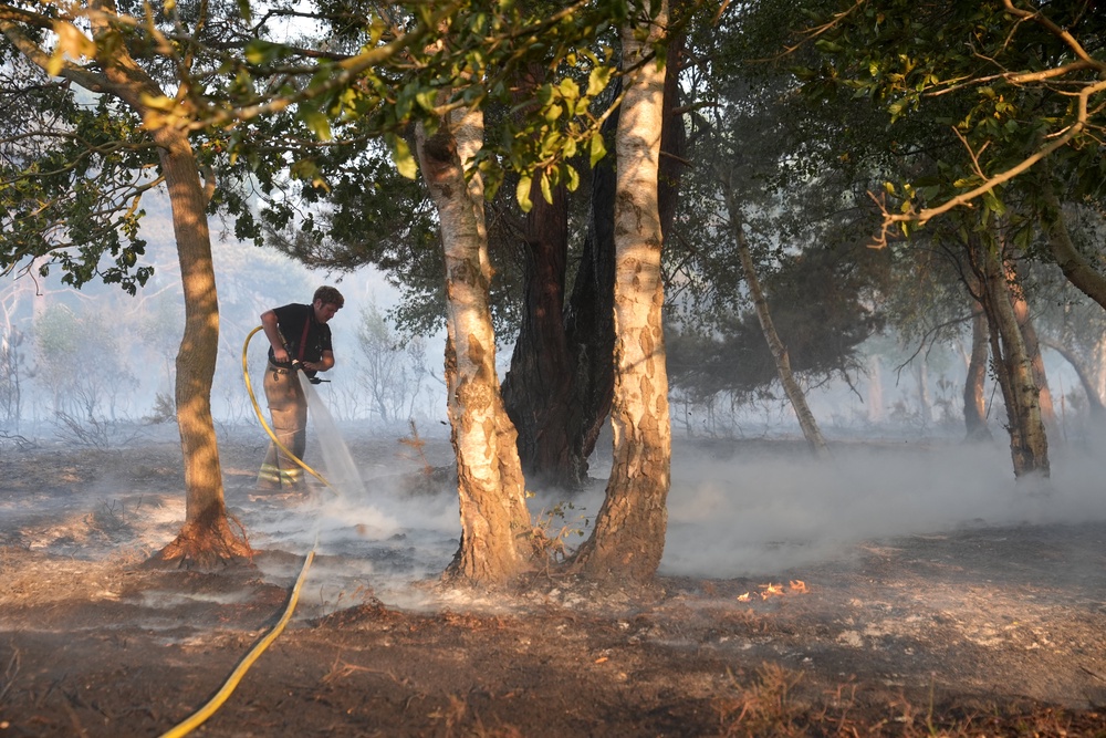 A firefighter extinguishes a burning tree (PA)