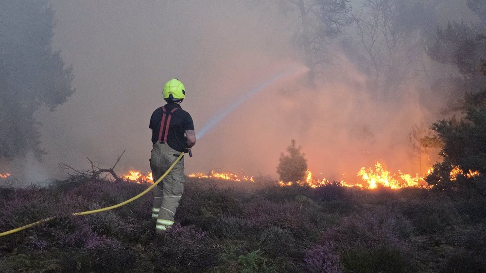Fire crews are tackling the blaze (Suffolk Fire and Rescue Service)