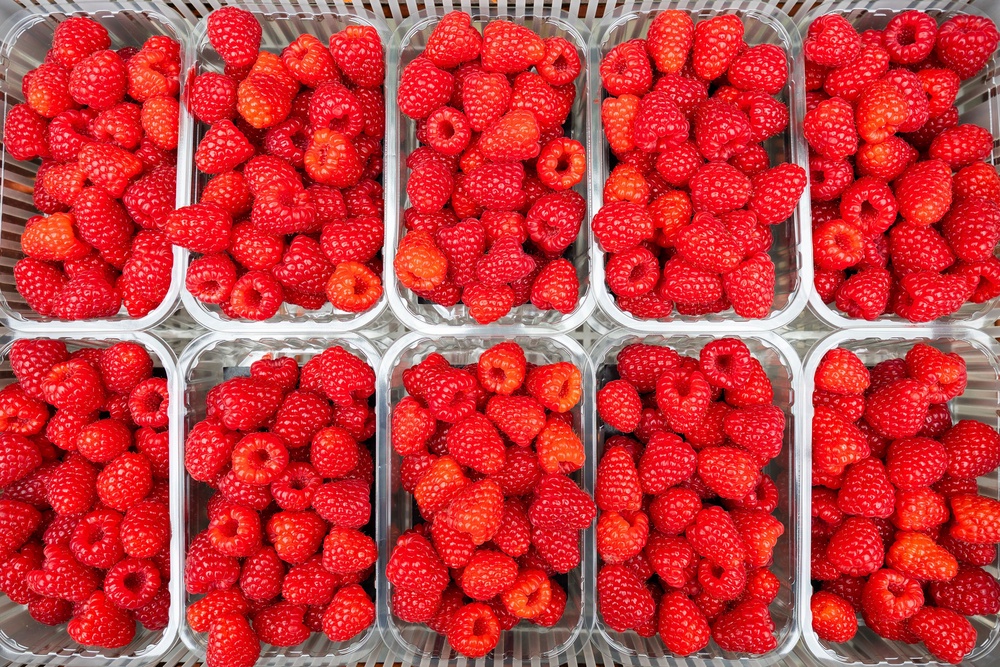 Researchers spotted erythrulose, found on Earth in raspberries, towards the middle of our galaxy (PA)