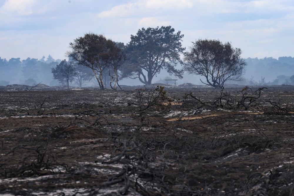 The climate emergency declaration had originally been brought into place in 2019 by the Conservative-led council (PA)